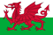 Wales Under 21